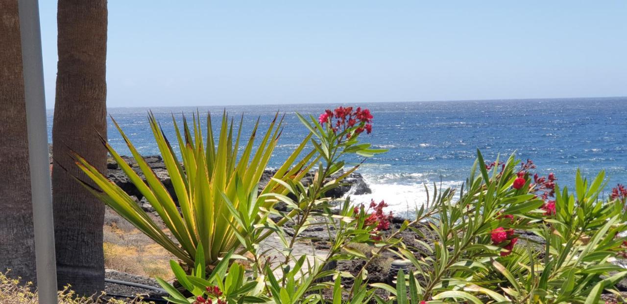 סן מיגל דה אבונה Cosy Well Located Apartment Tenerife Sur Golf מראה חיצוני תמונה