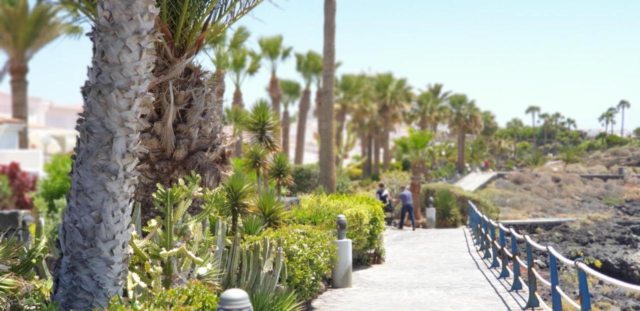 סן מיגל דה אבונה Cosy Well Located Apartment Tenerife Sur Golf מראה חיצוני תמונה