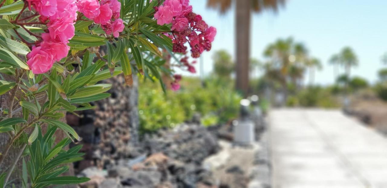 סן מיגל דה אבונה Cosy Well Located Apartment Tenerife Sur Golf מראה חיצוני תמונה