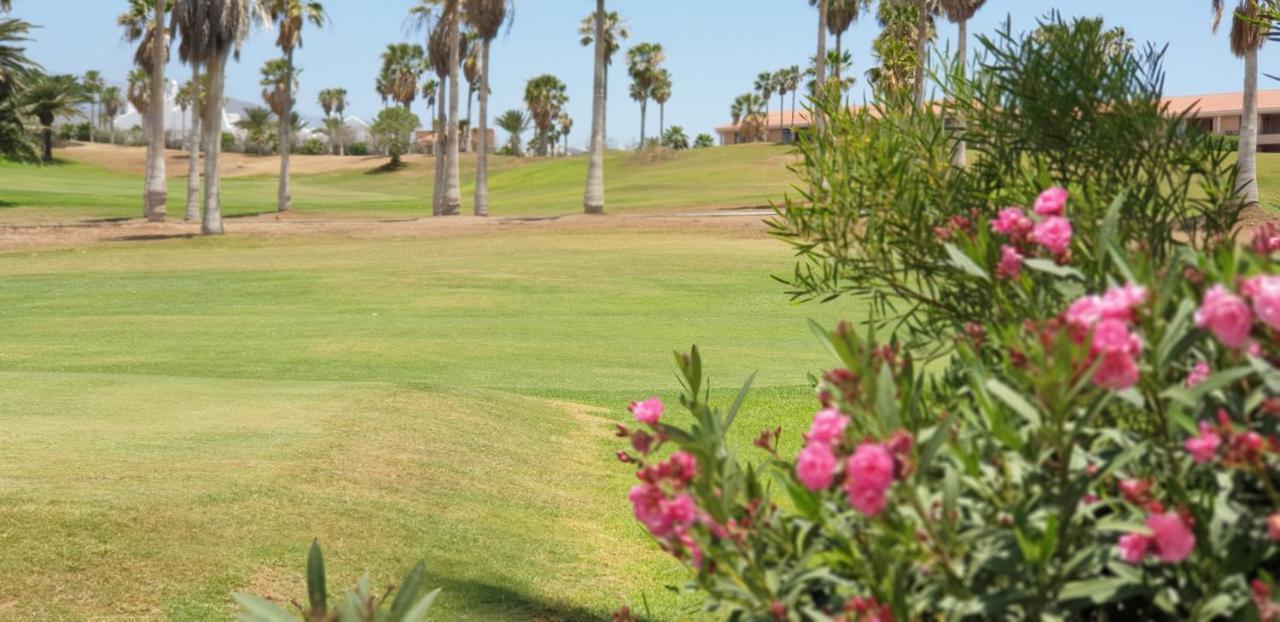 סן מיגל דה אבונה Cosy Well Located Apartment Tenerife Sur Golf מראה חיצוני תמונה