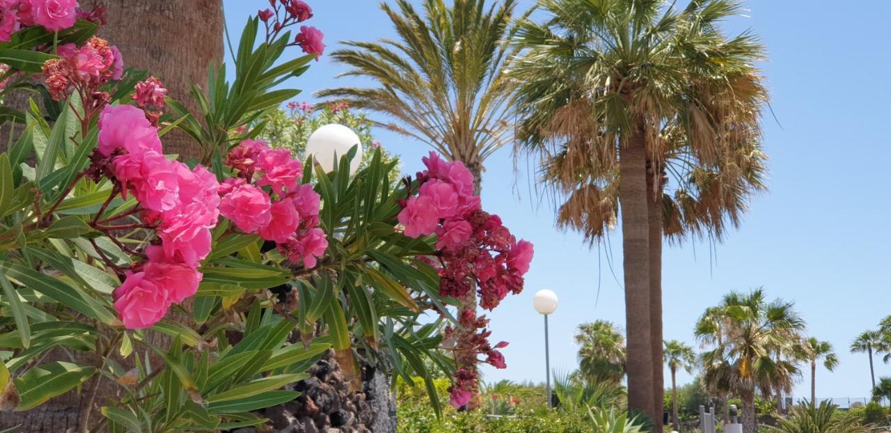 סן מיגל דה אבונה Cosy Well Located Apartment Tenerife Sur Golf מראה חיצוני תמונה